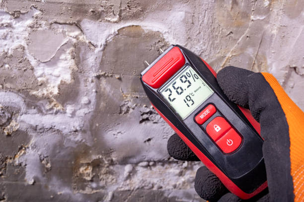 Best Bathroom Mold Remediation in Staples, MN