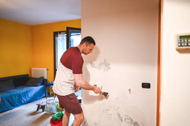 Best Mold Remediation for Specific Building Types in Staples, MN